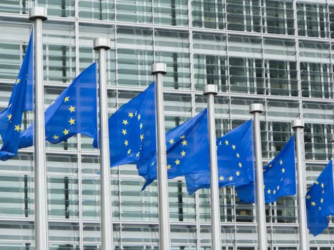 Euro flag